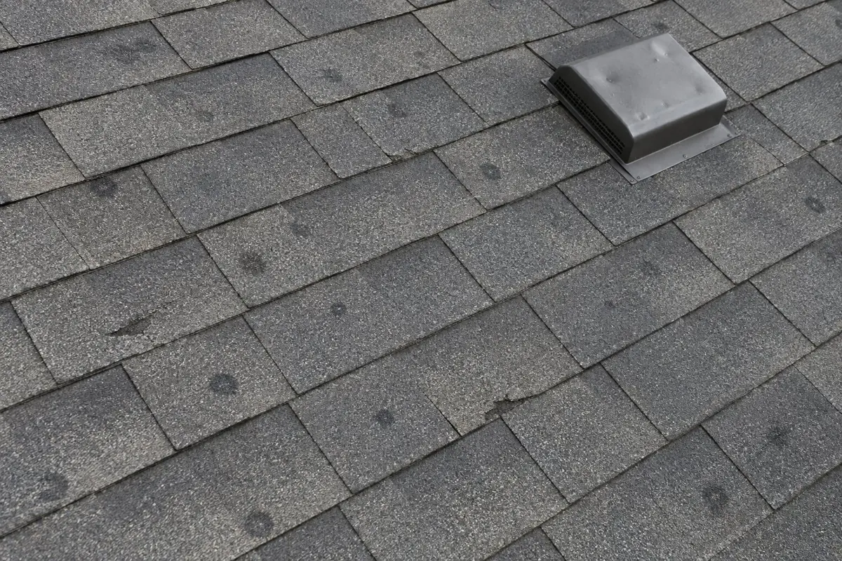 Hail damage on a shingle roof